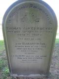 image of grave number 349531